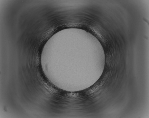 X0000094800261200712141659