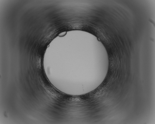 X0000094800262200712141659