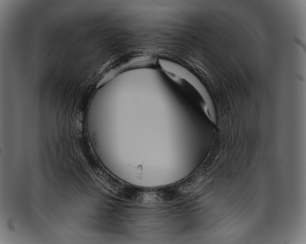 X0000094800264200712141659