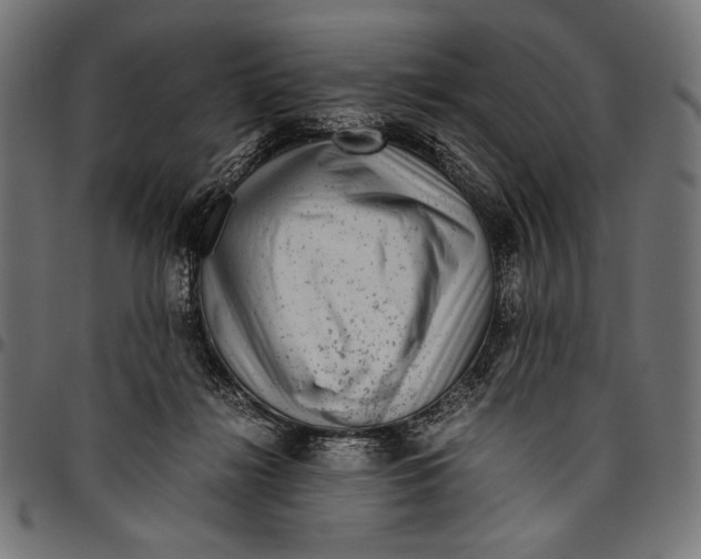 X0000094800268200712141659