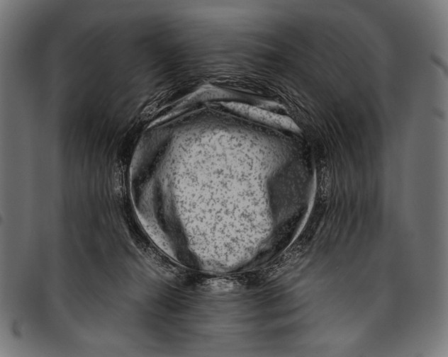 X0000094800272200712141659