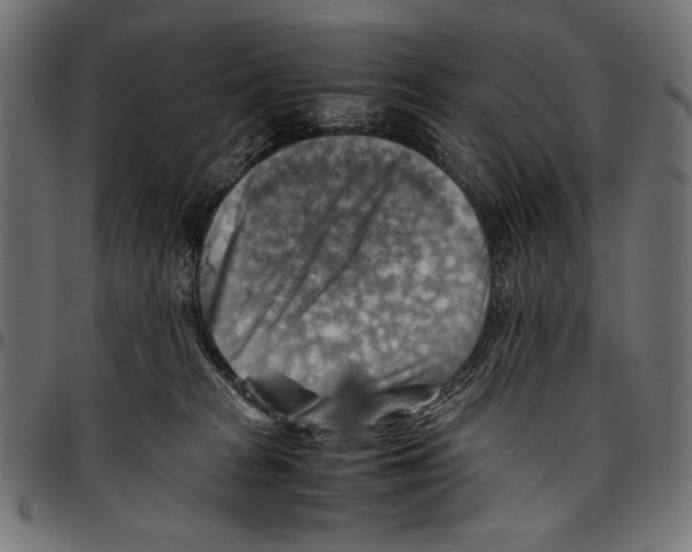 X0000094800277200712141659
