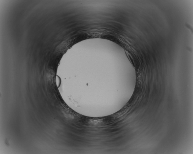 X0000094800283200712141700