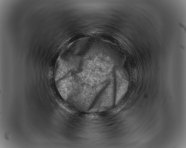 X0000094800284200712141700