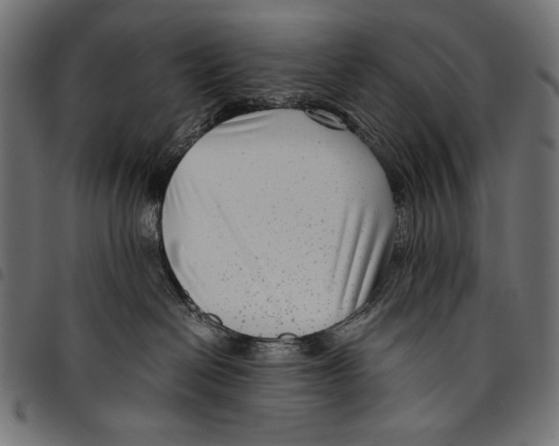 X0000094800286200712141700