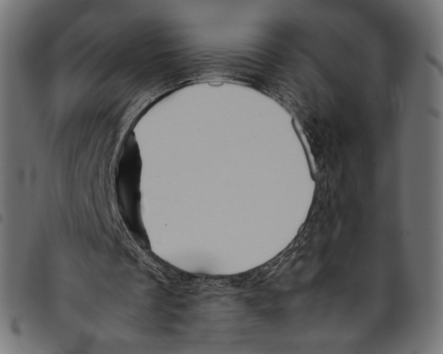 X0000094800289200712141659