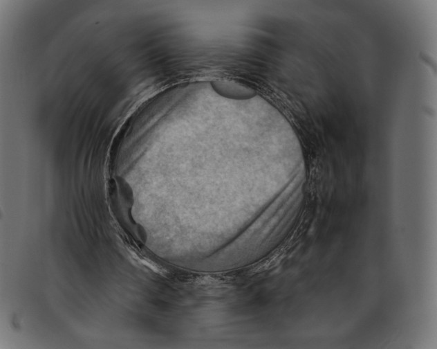 X0000094800290200712141659