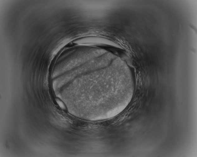 X0000094800292200712141659