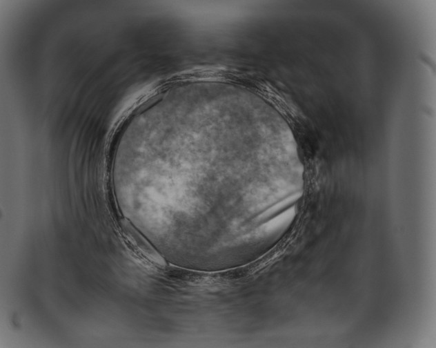 X0000094800293200712141659