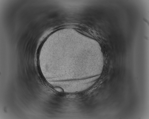 X0000094800294200712141659