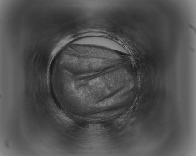 X0000094800296200712141659