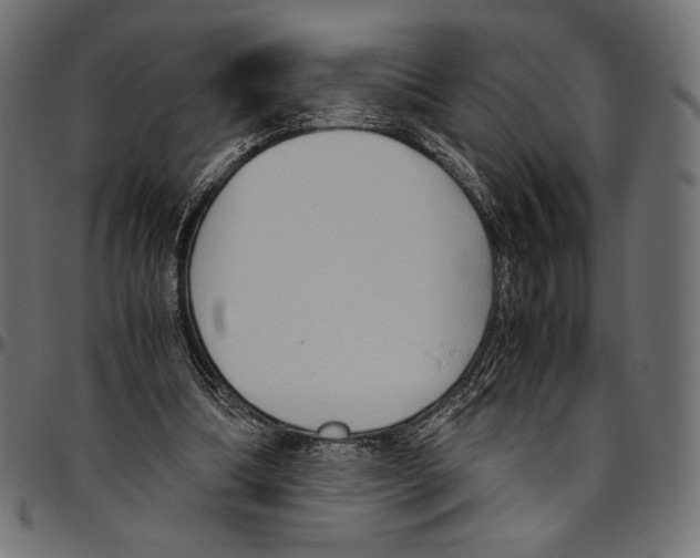 X0000094800298200712141659