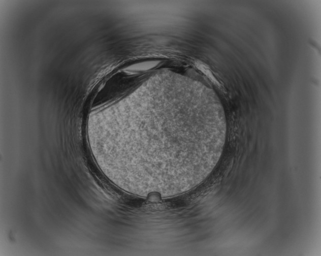 X0000094800299200712141659