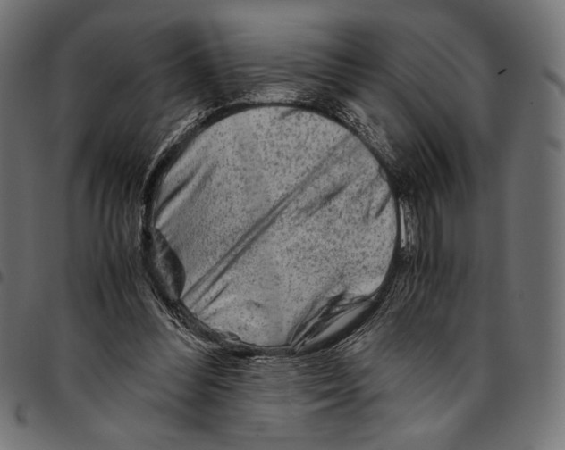 X0000094800300200712141659
