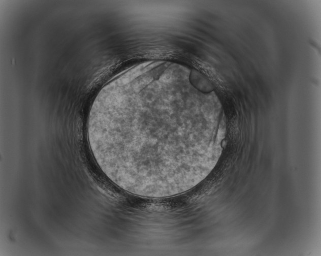 X0000094800303200712141659