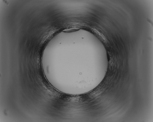 X0000094800306200712141659