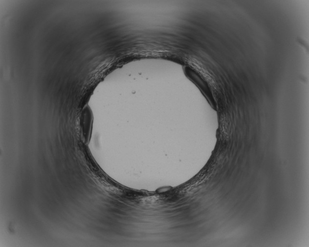 X0000094800309200712141659