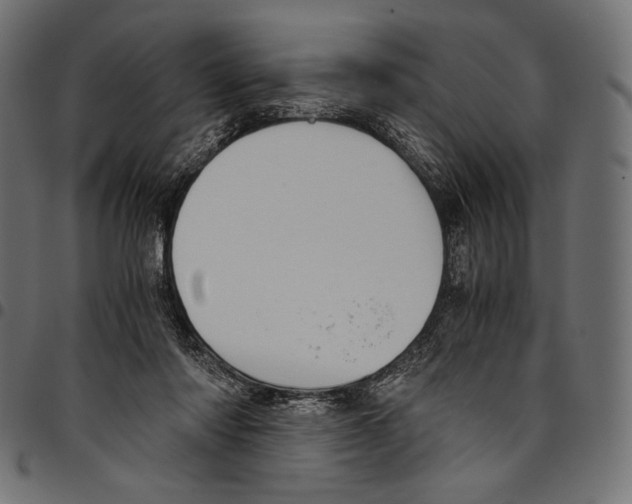 X0000094800310200712141659