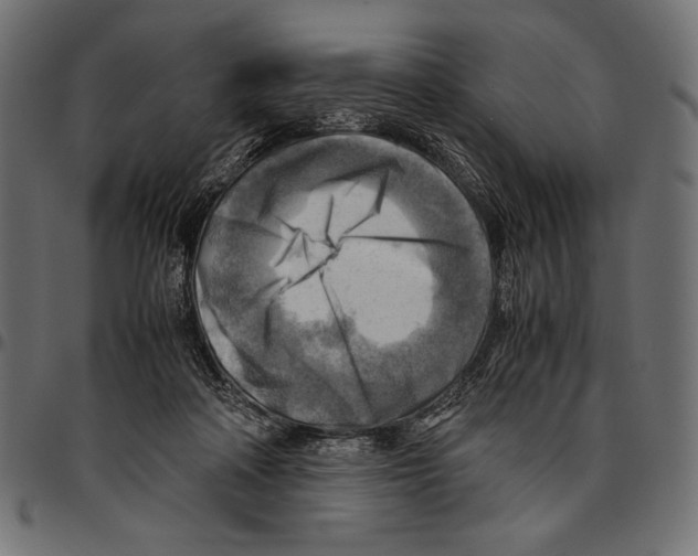 X0000094800314200712141659