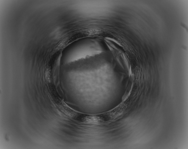 X0000094800316200712141659