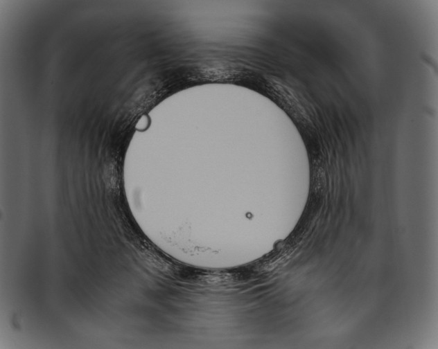 X0000094800317200712141659