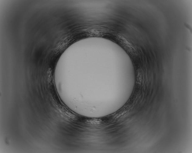 X0000094800318200712141659