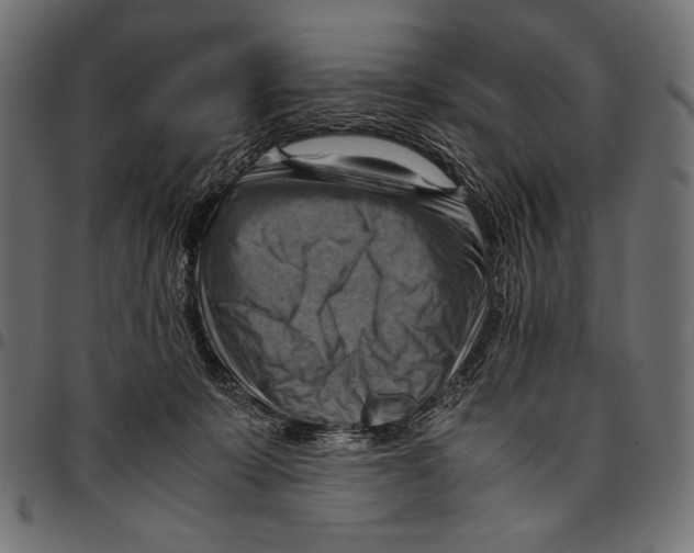 X0000094800319200712141659