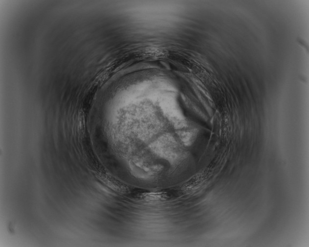 X0000094800320200712141659