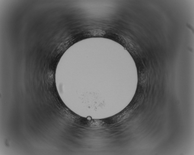 X0000094800321200712141659