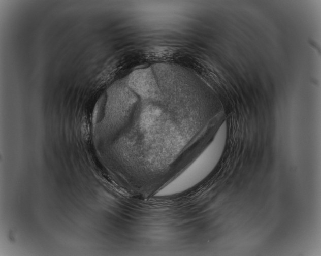 X0000094800324200712141658