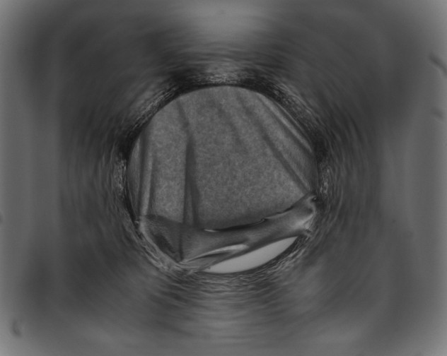 X0000094800325200712141658