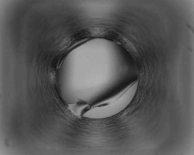 X0000094800329200712141658