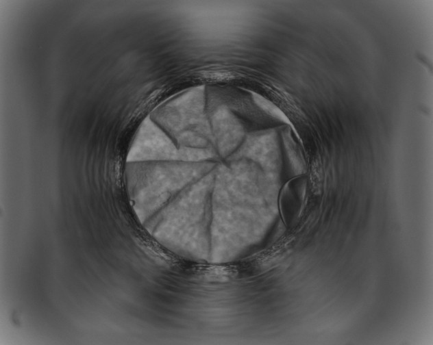 X0000094800330200712141658