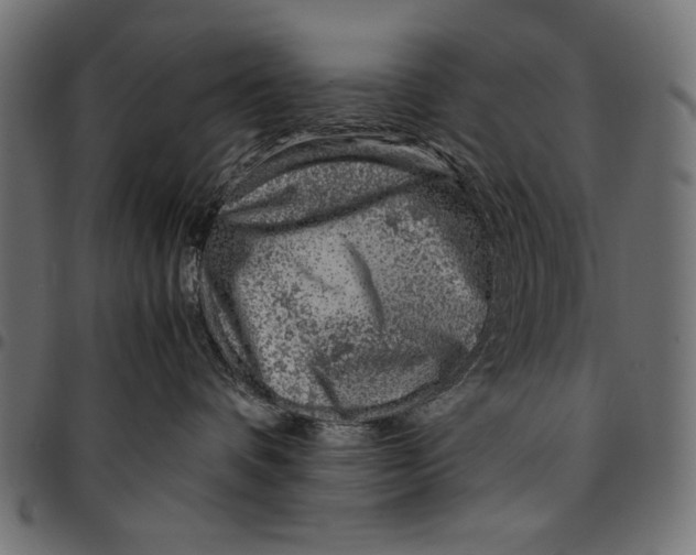 X0000094800336200712141658