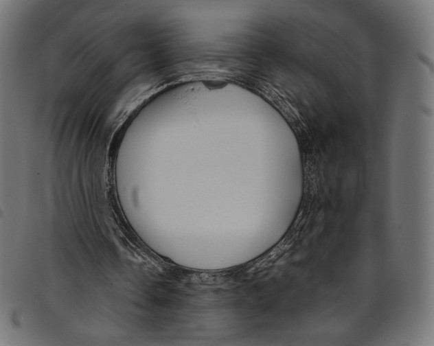 X0000094800338200712141657