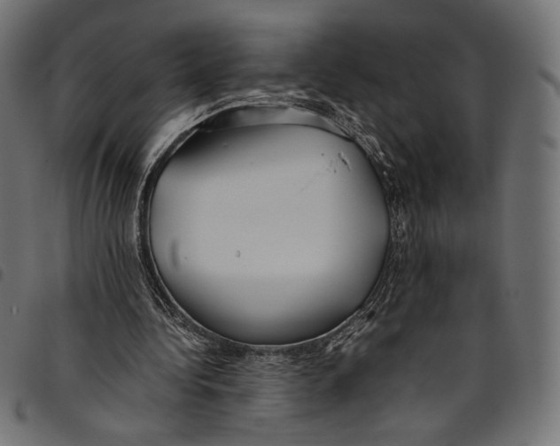 X0000094800340200712141657