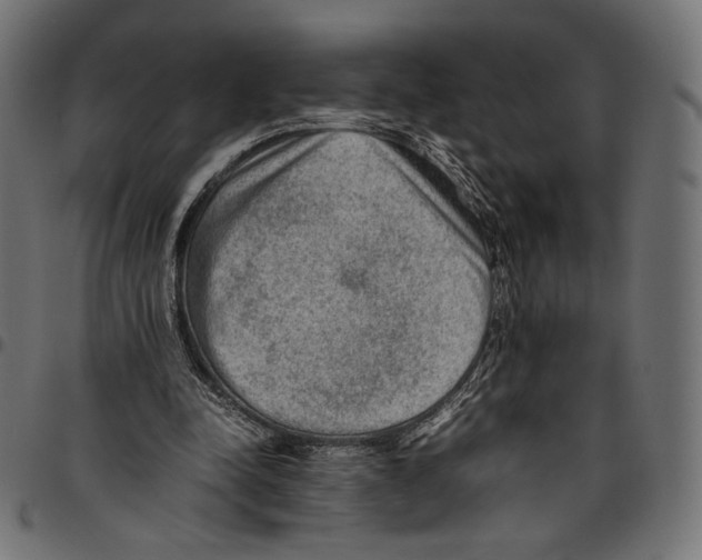 X0000094800342200712141658