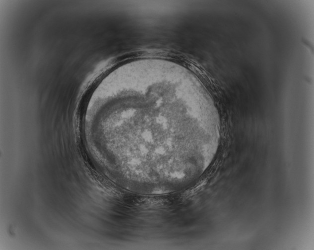 X0000094800343200712141658