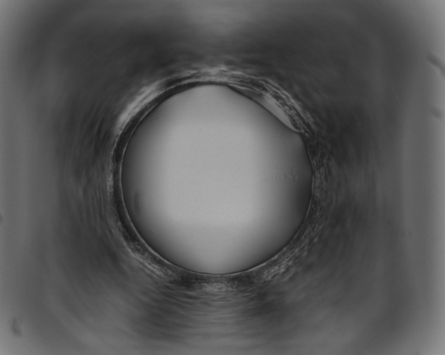 X0000094800344200712141658