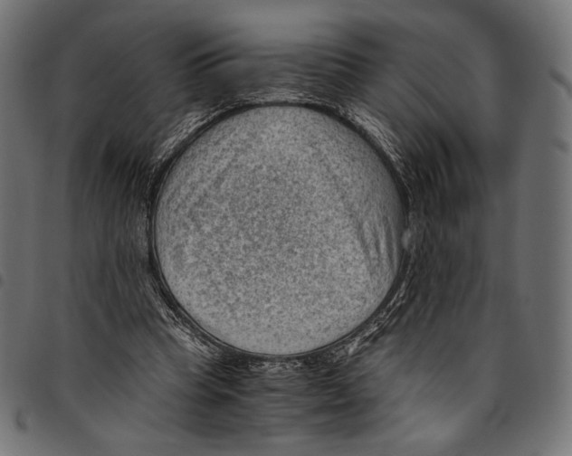 X0000094800345200712141658