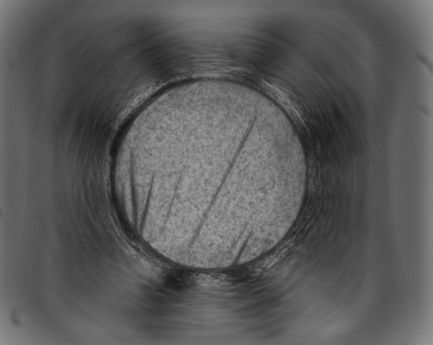 X0000094800346200712141658