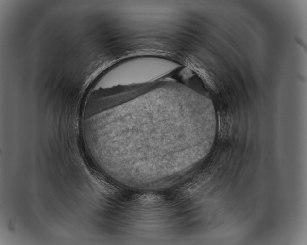 X0000094800348200712141658