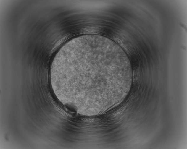 X0000094800349200712141658