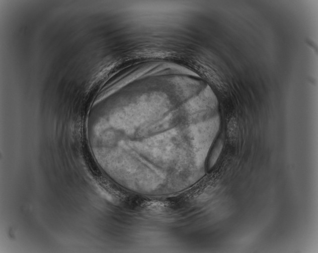 X0000094800352200712141658