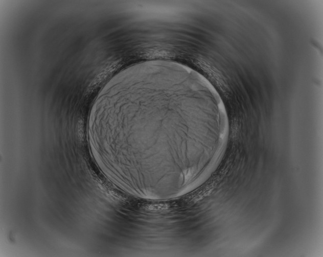 X0000094800353200712141658