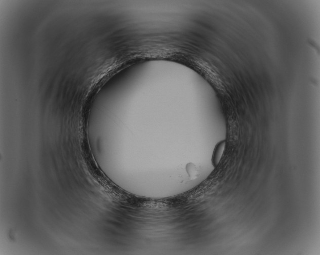 X0000094800354200712141658