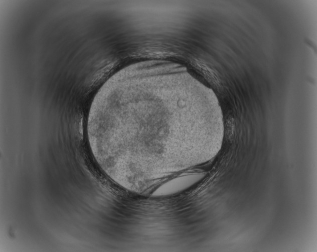X0000094800358200712141658