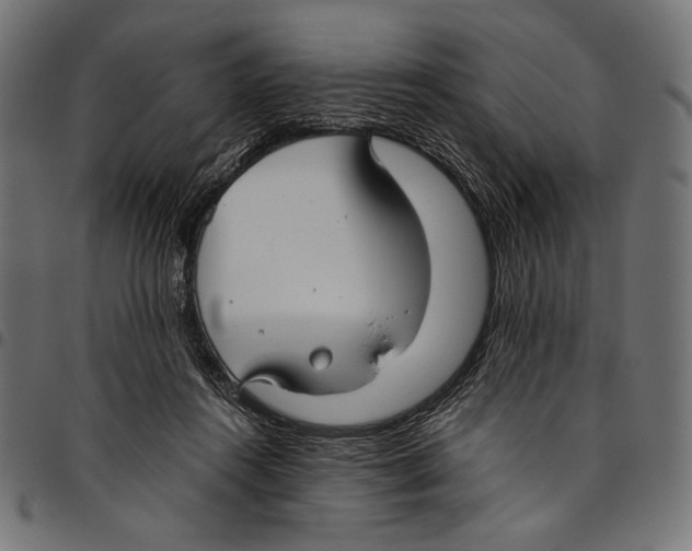 X0000094800360200712141658