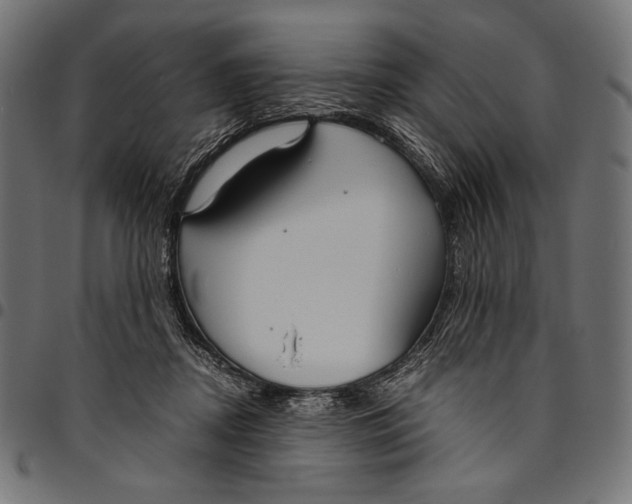X0000094800362200712141658