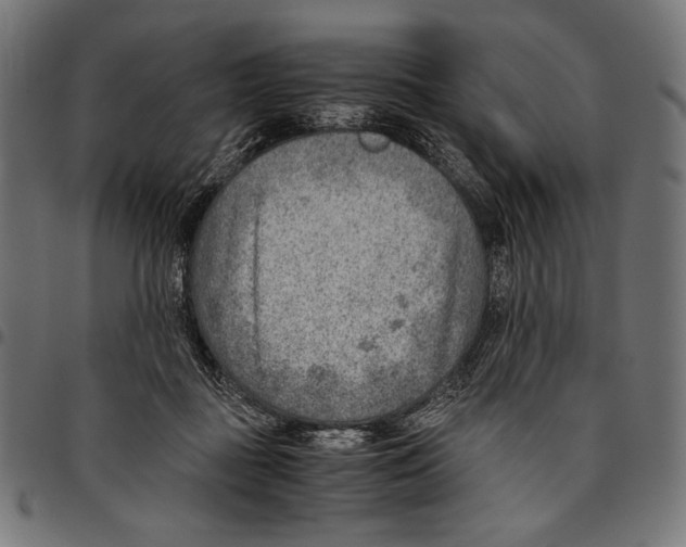 X0000094800363200712141658
